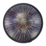 Steel Tongue Drum - 14 Notes - ThunderSpace (1)